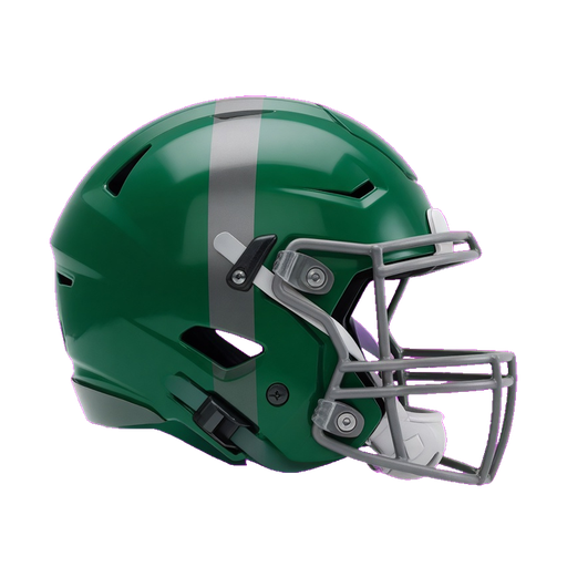 Holy Cross helmet